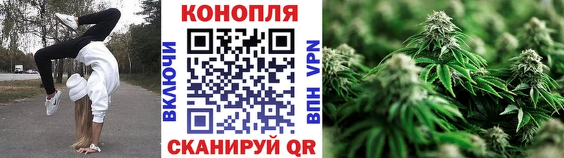 Купить закладку COCAIN  Меф мяу мяу  Галлюциногенные грибы  ГАШИШ  Ельня