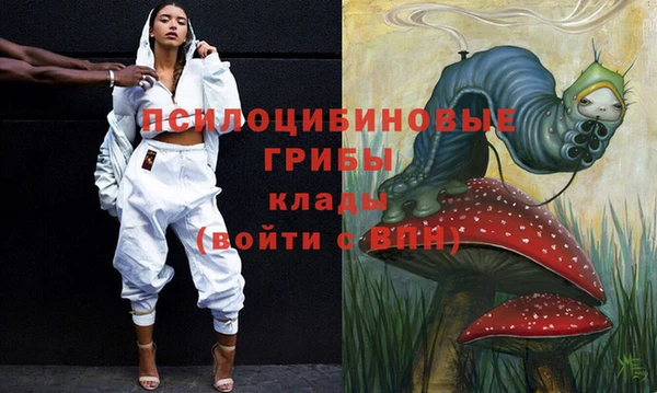 МДПВ Зерноград