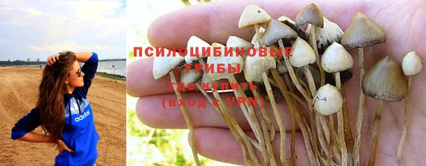 мдпв Зеленокумск