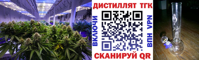 Купить где  Ельня  ТГК гашишное масло 